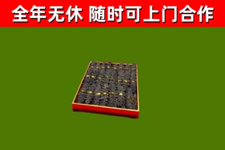 新邵回收海参